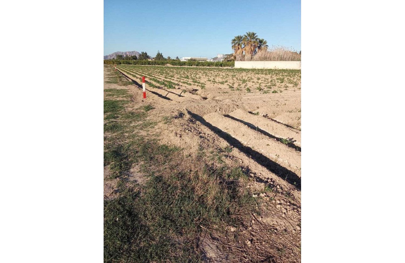 Resale - Country house - Arneva - LOS DESAMPARADOS