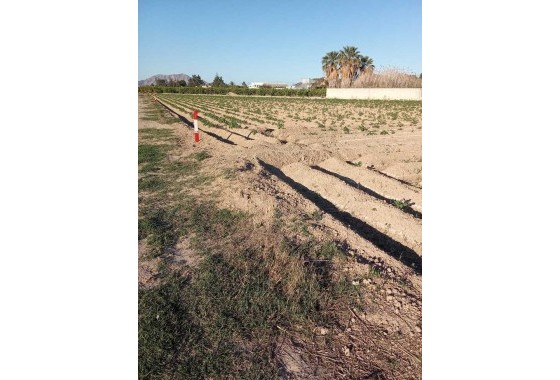 Resale - Country house - Arneva - LOS DESAMPARADOS