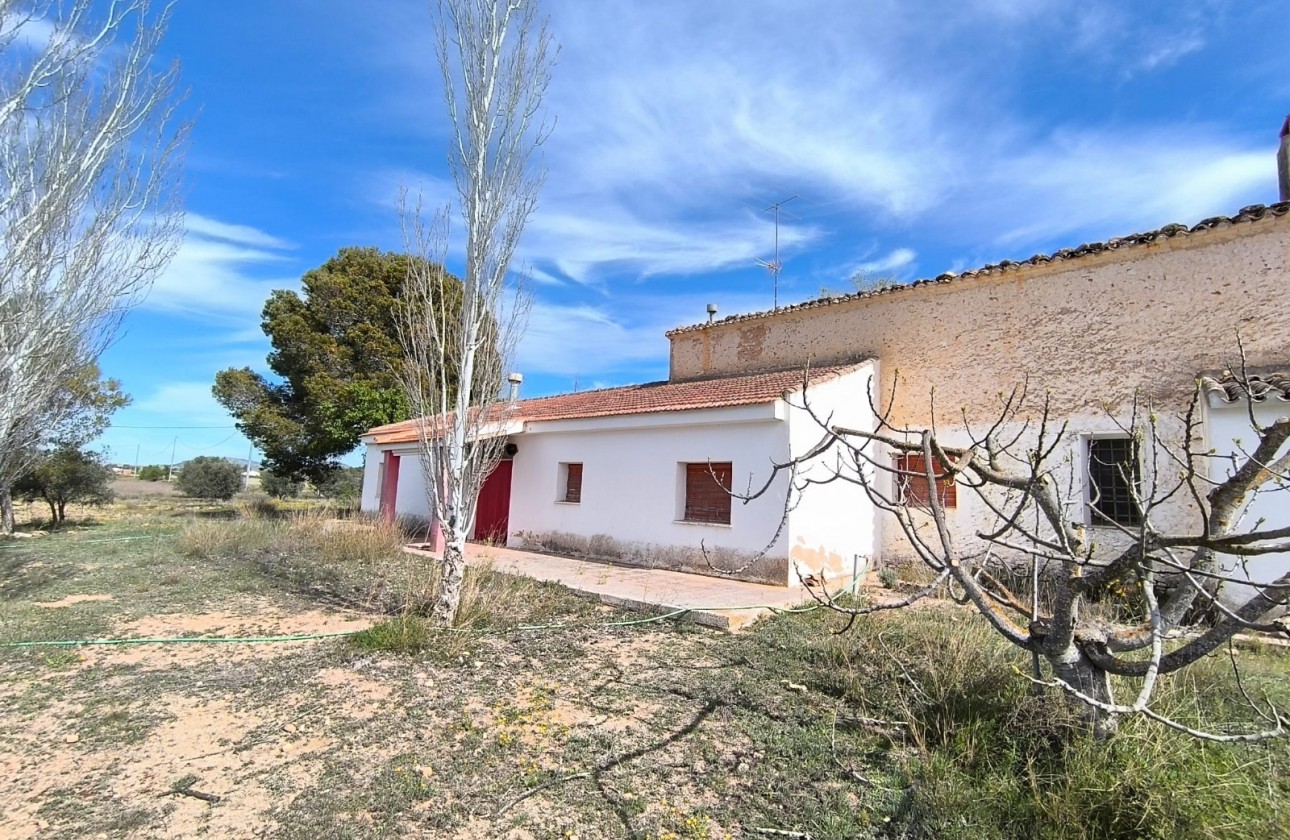 Revente - Property - Yecla - Inland