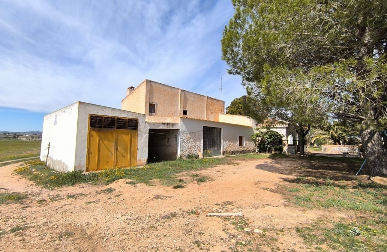 Revente - Property - Yecla - Inland