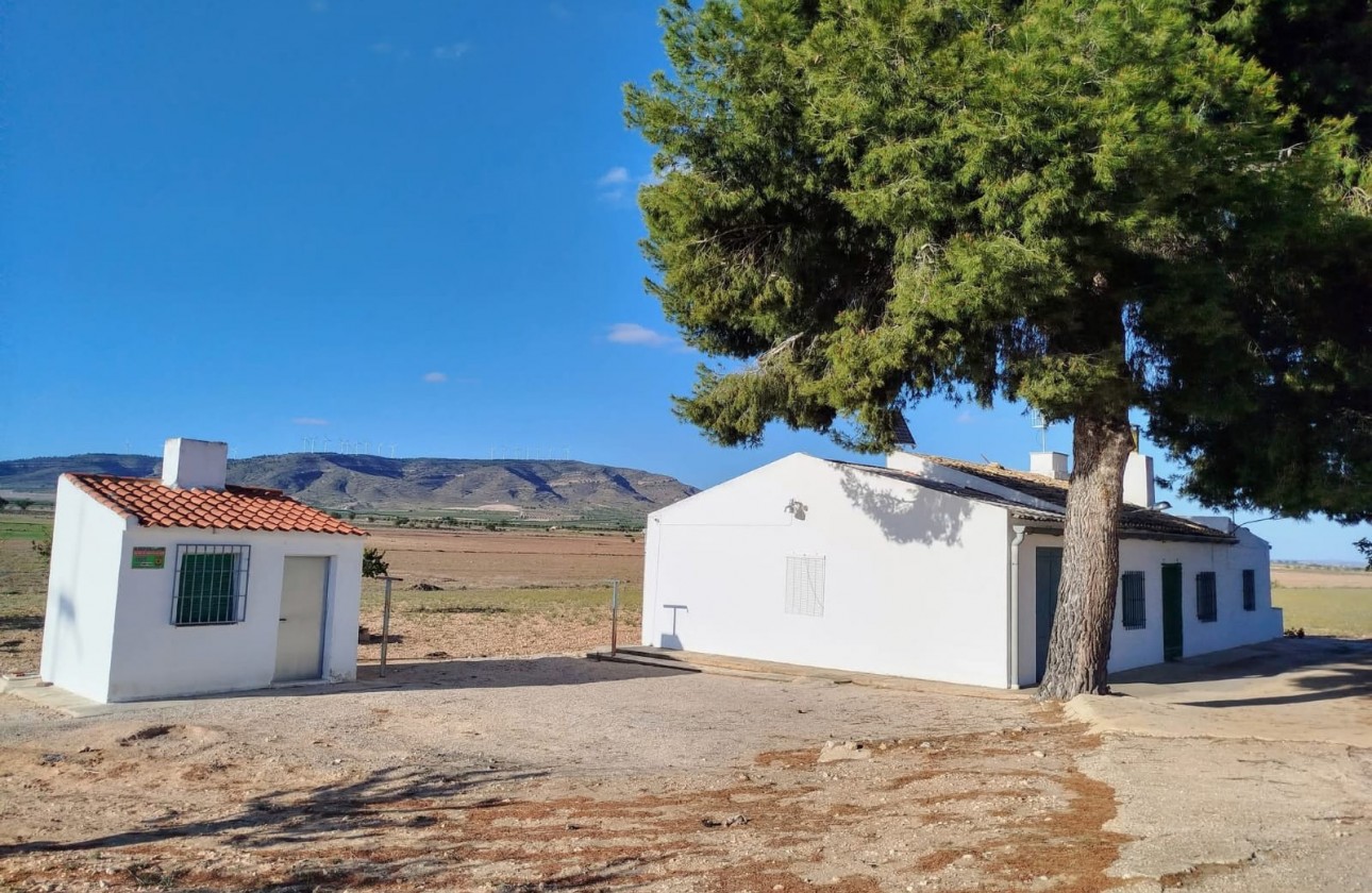 Revente - Property - Yecla - Inland