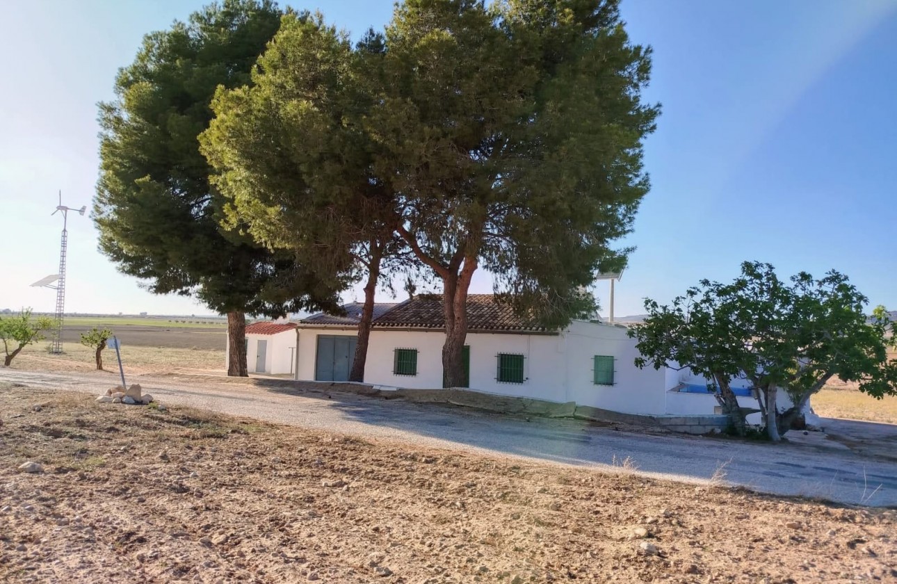 Reventa - Property - Yecla - Inland