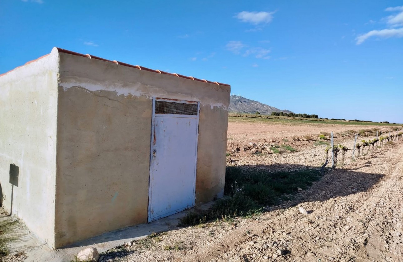 Reventa - Property - Yecla - Inland