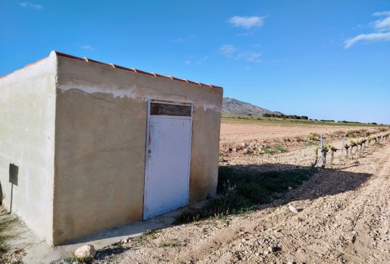 Revente - Property - Yecla - Inland