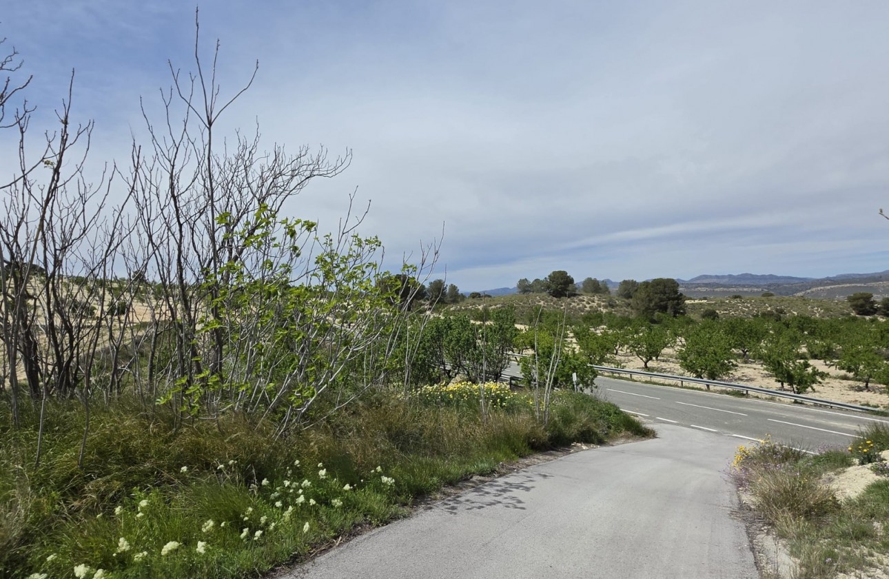 Resale - Country house - La Zarza - Inland