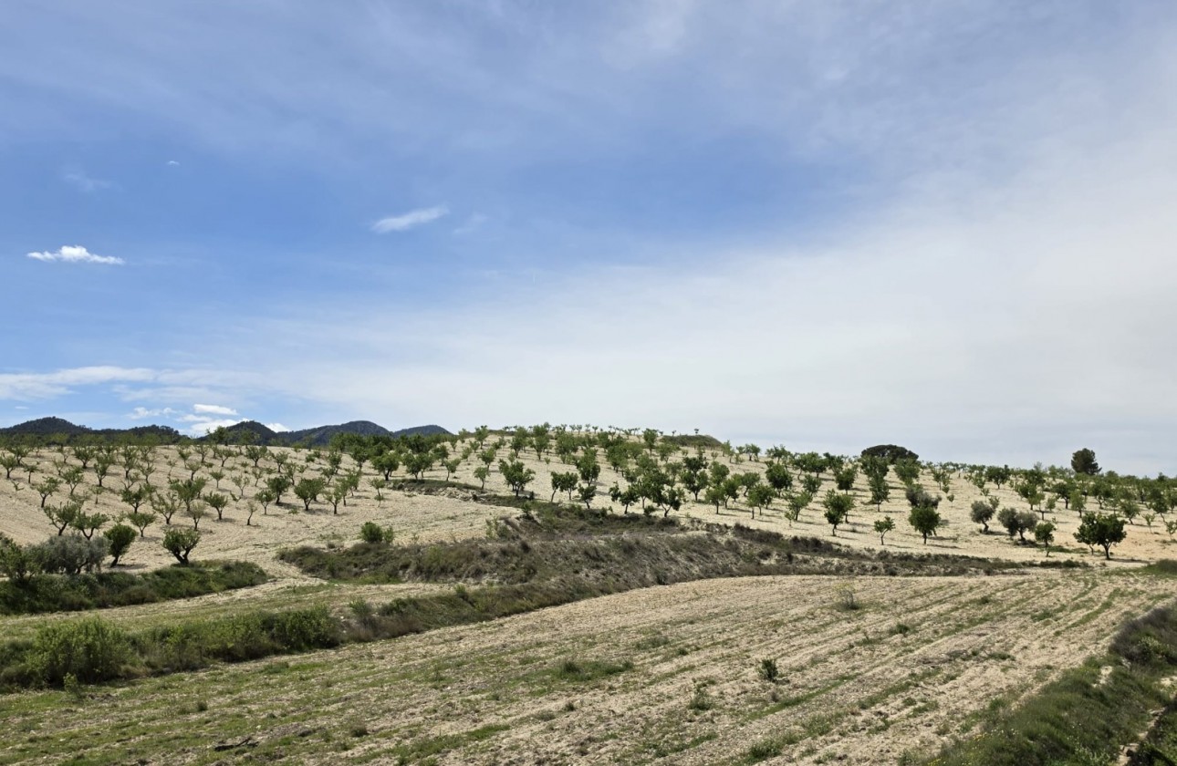 Resale - Country house - La Zarza - Inland