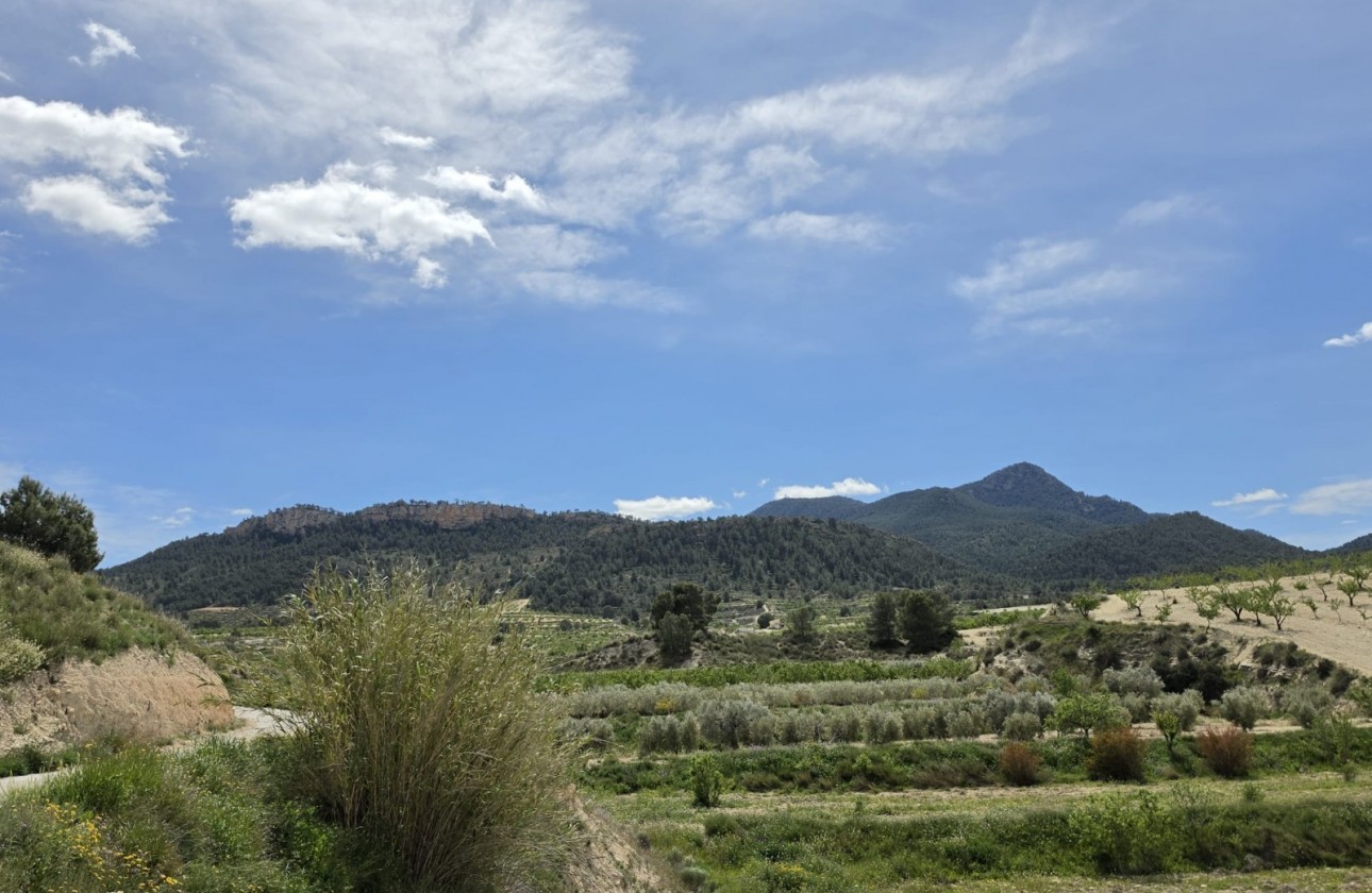 Resale - Country house - La Zarza - Inland