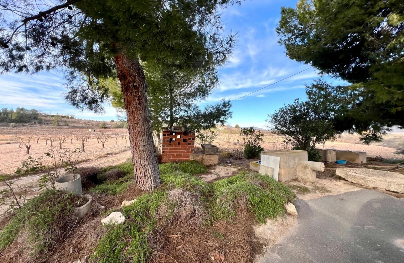 Revente - Property - Monóvar/Monóver - Inland