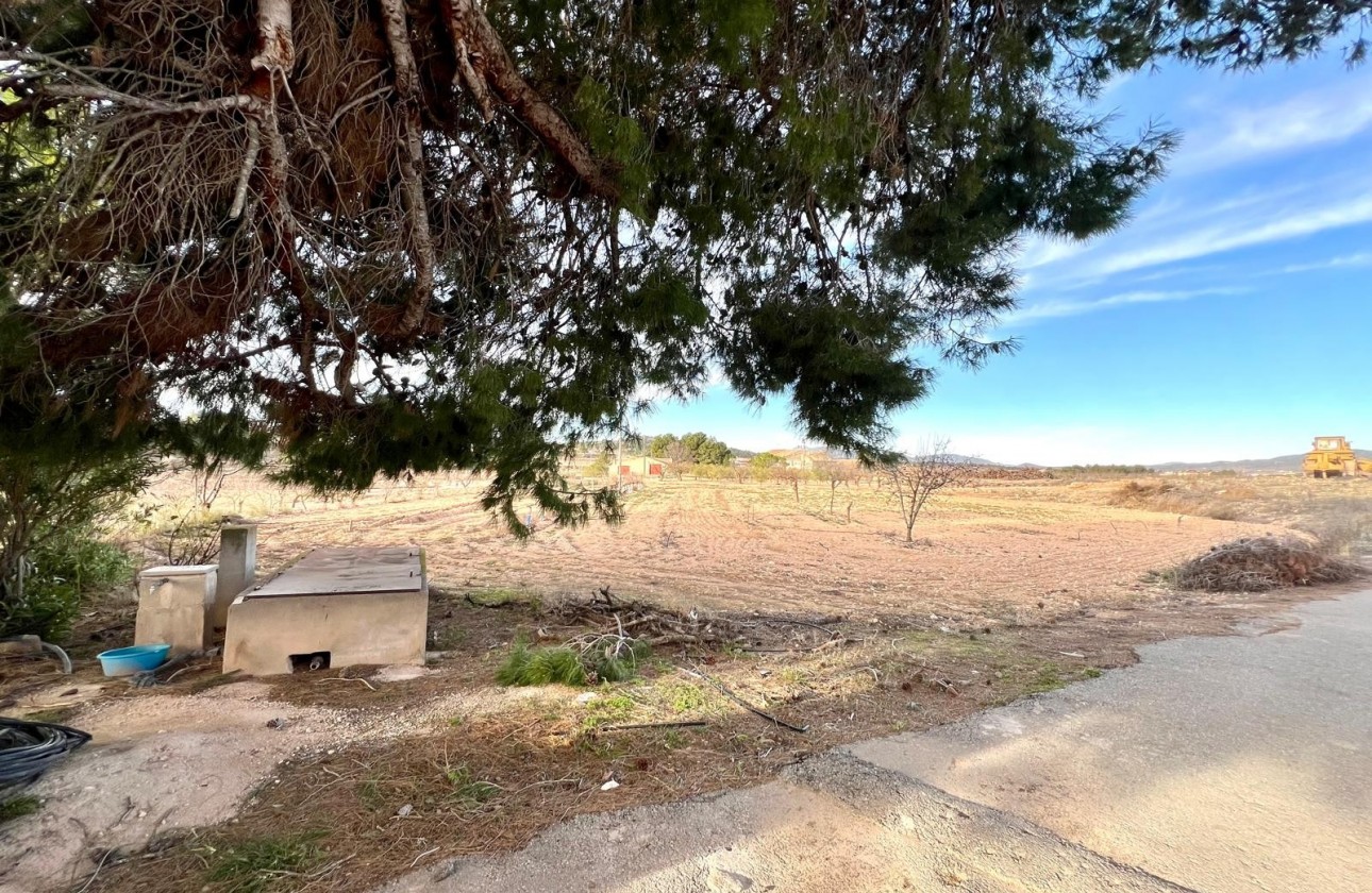 Revente - Property - Monóvar/Monóver - Inland