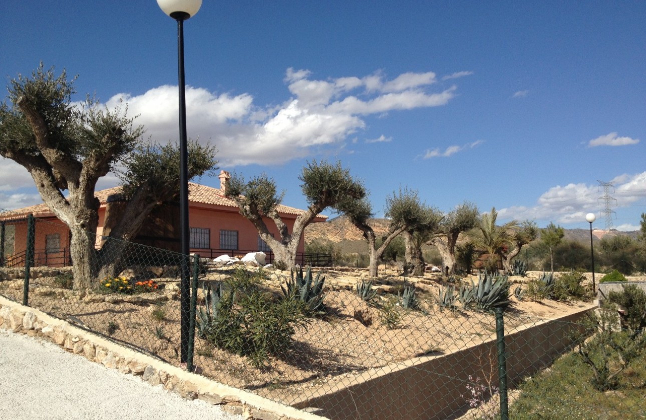 Revente - Villa - Abanilla - Inland