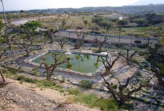 Resale - Villa - Abanilla - Inland
