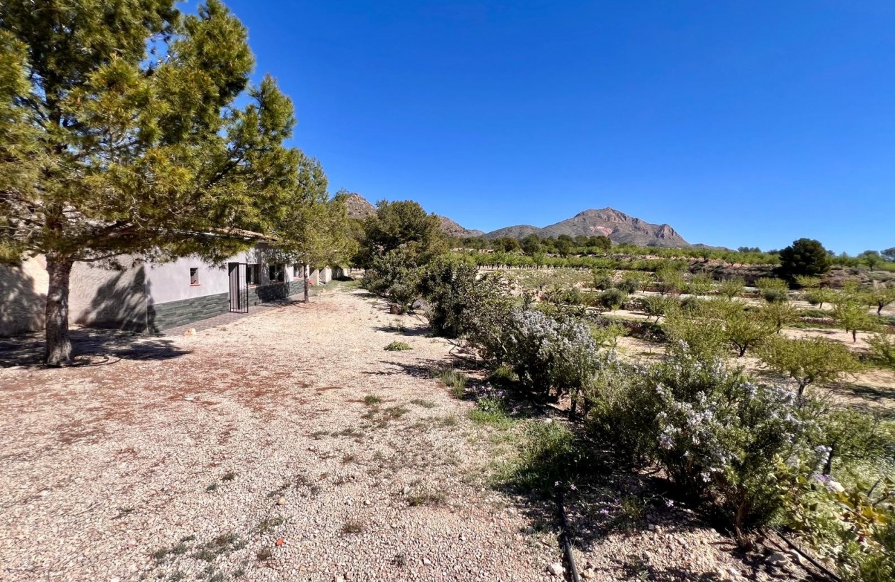 Resale - Country house - Barinas - Inland