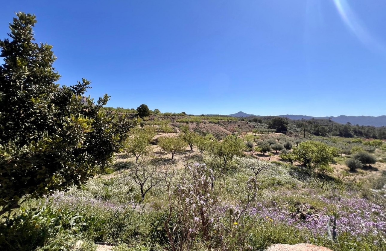 Resale - Country house - Barinas - Inland
