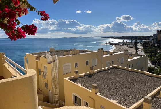 Reventa - Apartamento / piso - Orihuela Costa - Campoamor