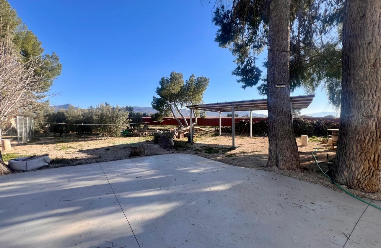 Revente - Property - Jumilla - Inland