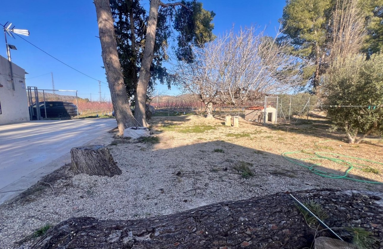 Revente - Property - Jumilla - Inland