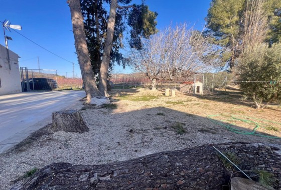Revente - Property - Jumilla - Inland