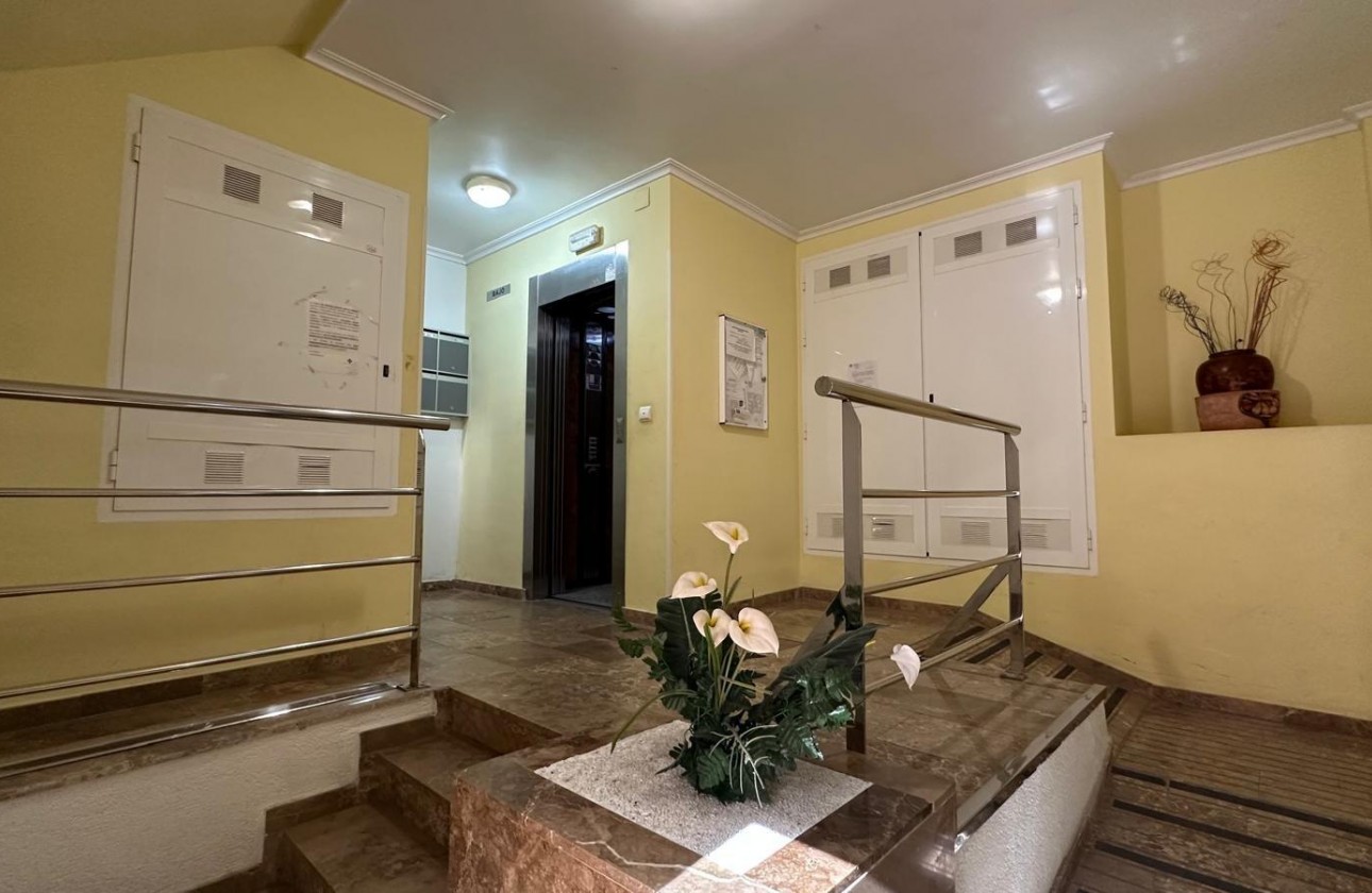 Reventa - Apartamento / piso - Torrevieja - Estacion de autobuses