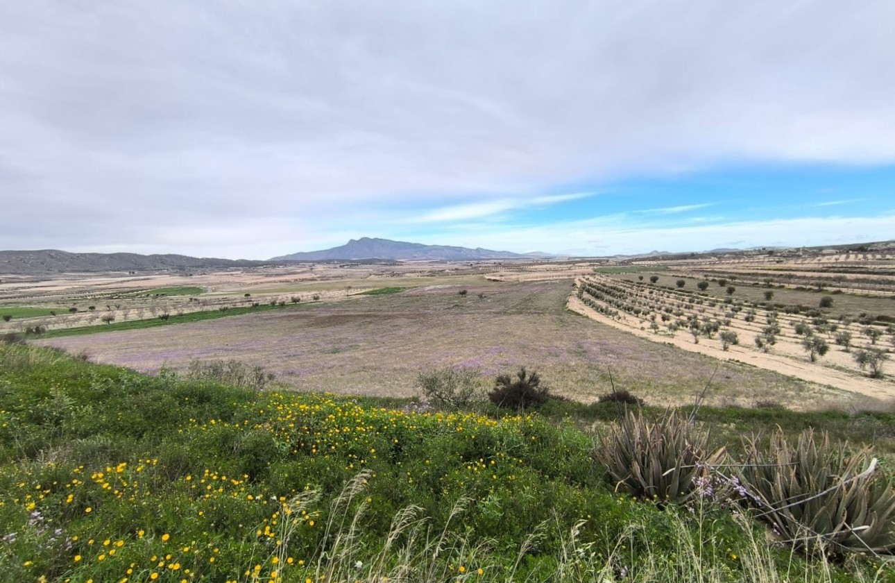 Revente - Property - La Zarza - Inland
