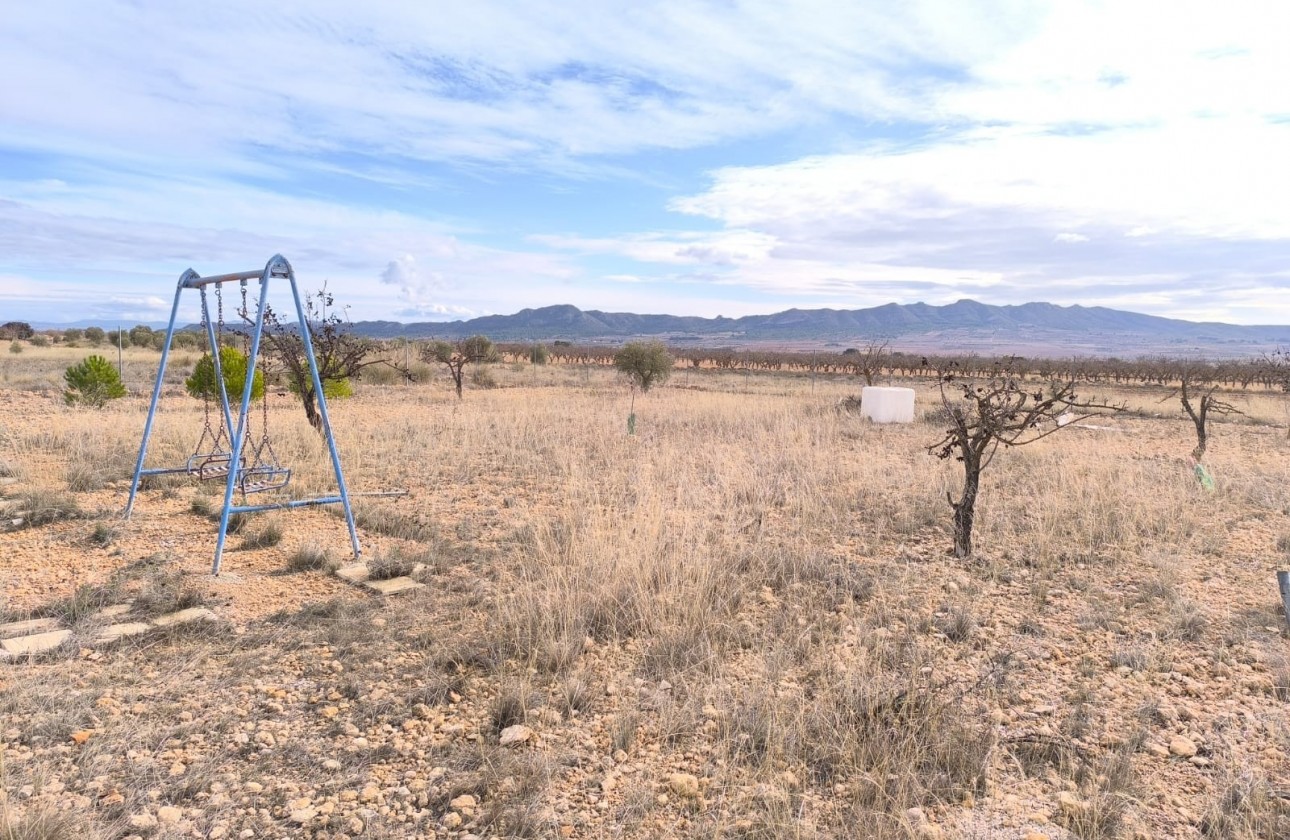 Revente - Property - Yecla - Inland