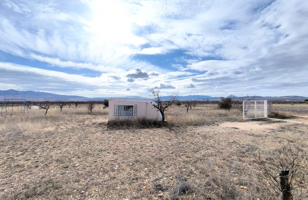 Revente - Property - Yecla - Inland