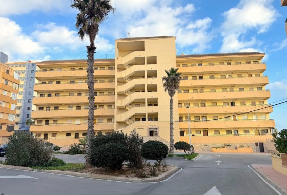 Resale - Apartment / flat - Torrevieja - Cabo cervera