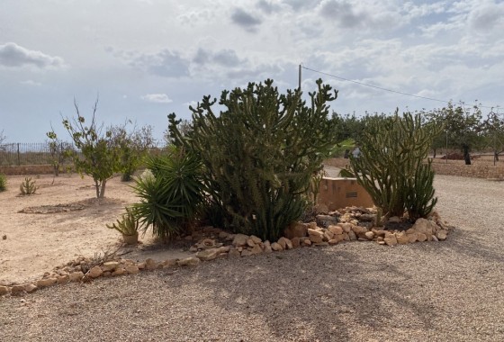 Reventa - Chalet - Fuente Álamo - Inland