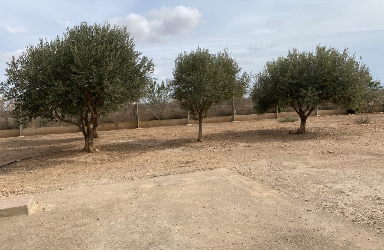 Reventa - Chalet - Fuente Álamo - Inland