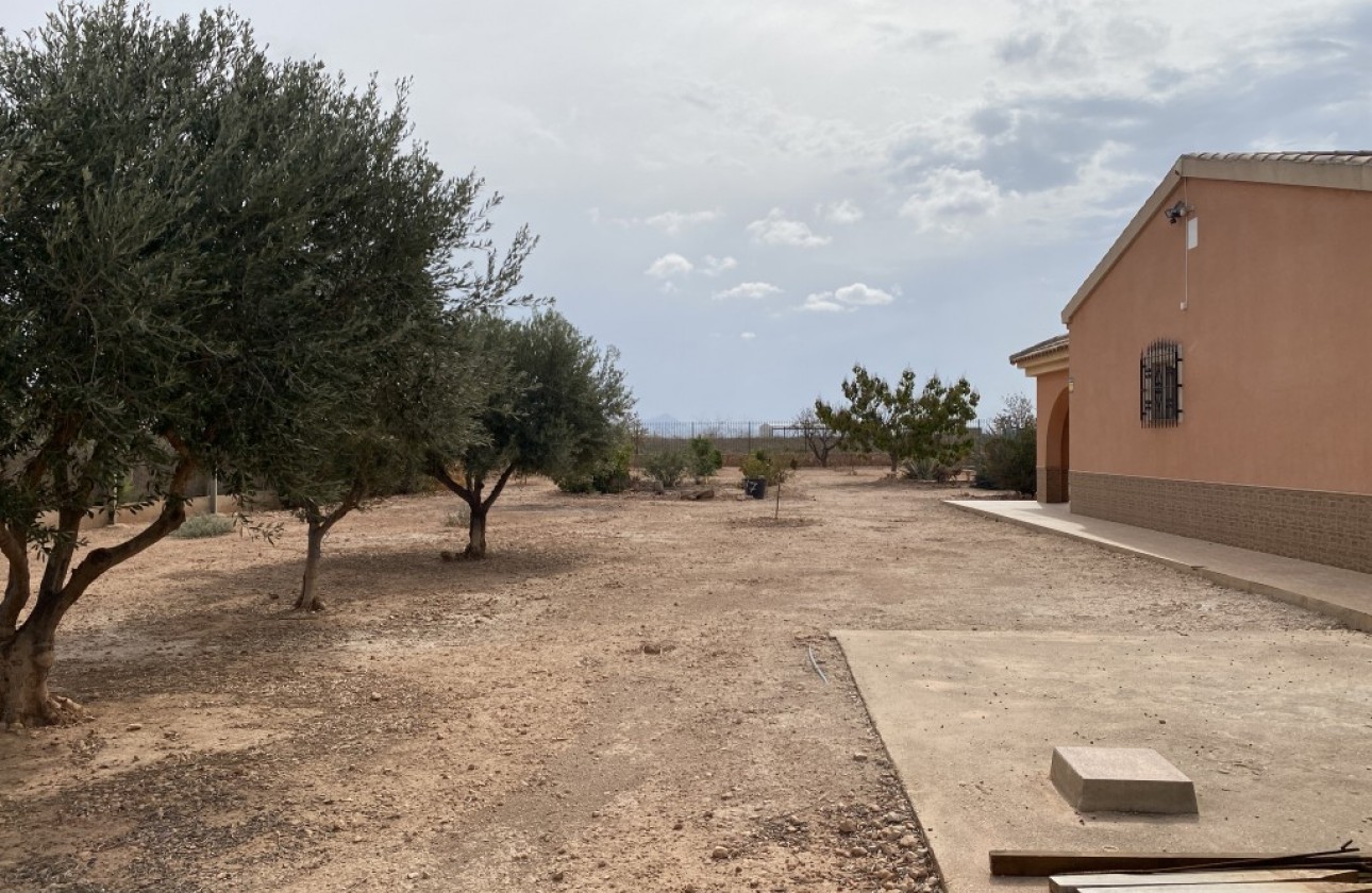 Reventa - Chalet - Fuente Álamo - Inland