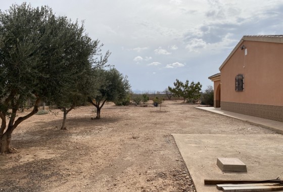 Reventa - Chalet - Fuente Álamo - Inland