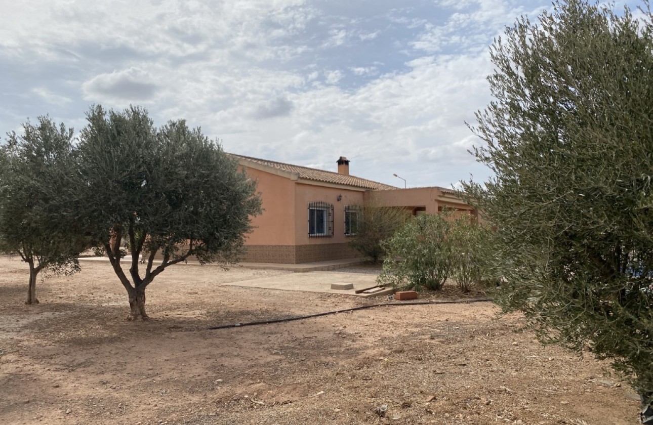 Reventa - Chalet - Fuente Álamo - Inland