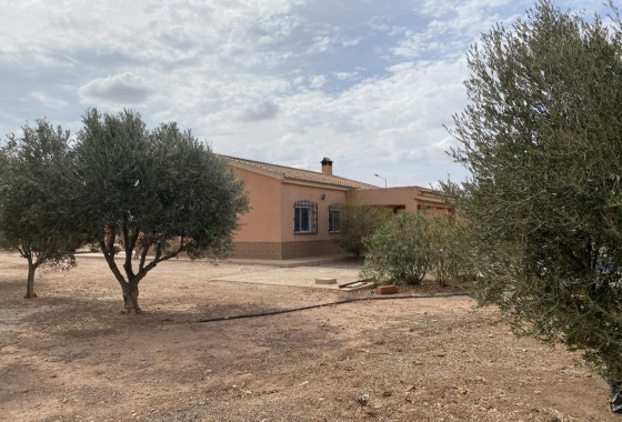 Reventa - Chalet - Fuente Álamo - Inland