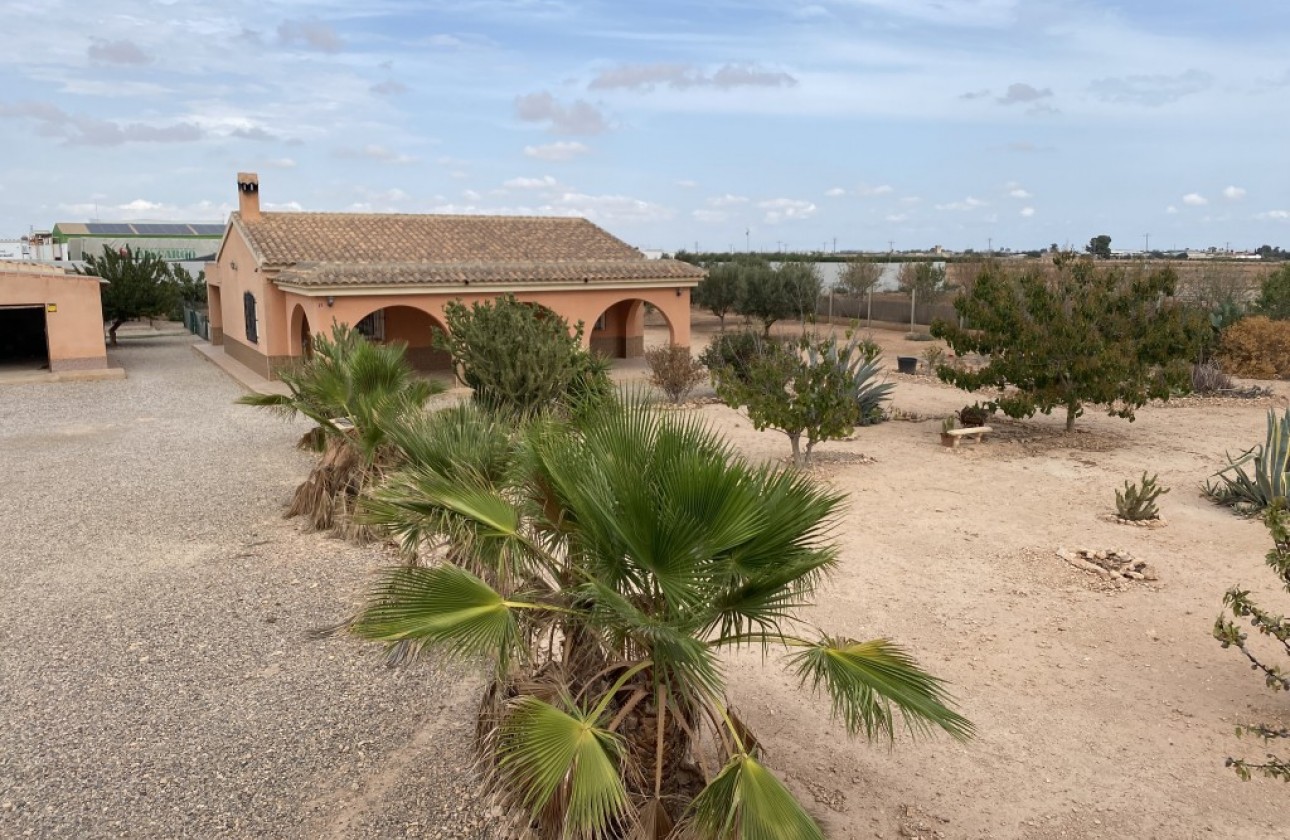 Reventa - Chalet - Fuente Álamo - Inland