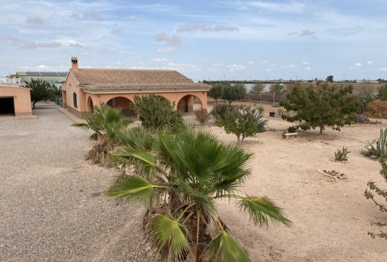 Reventa - Chalet - Fuente Álamo - Inland