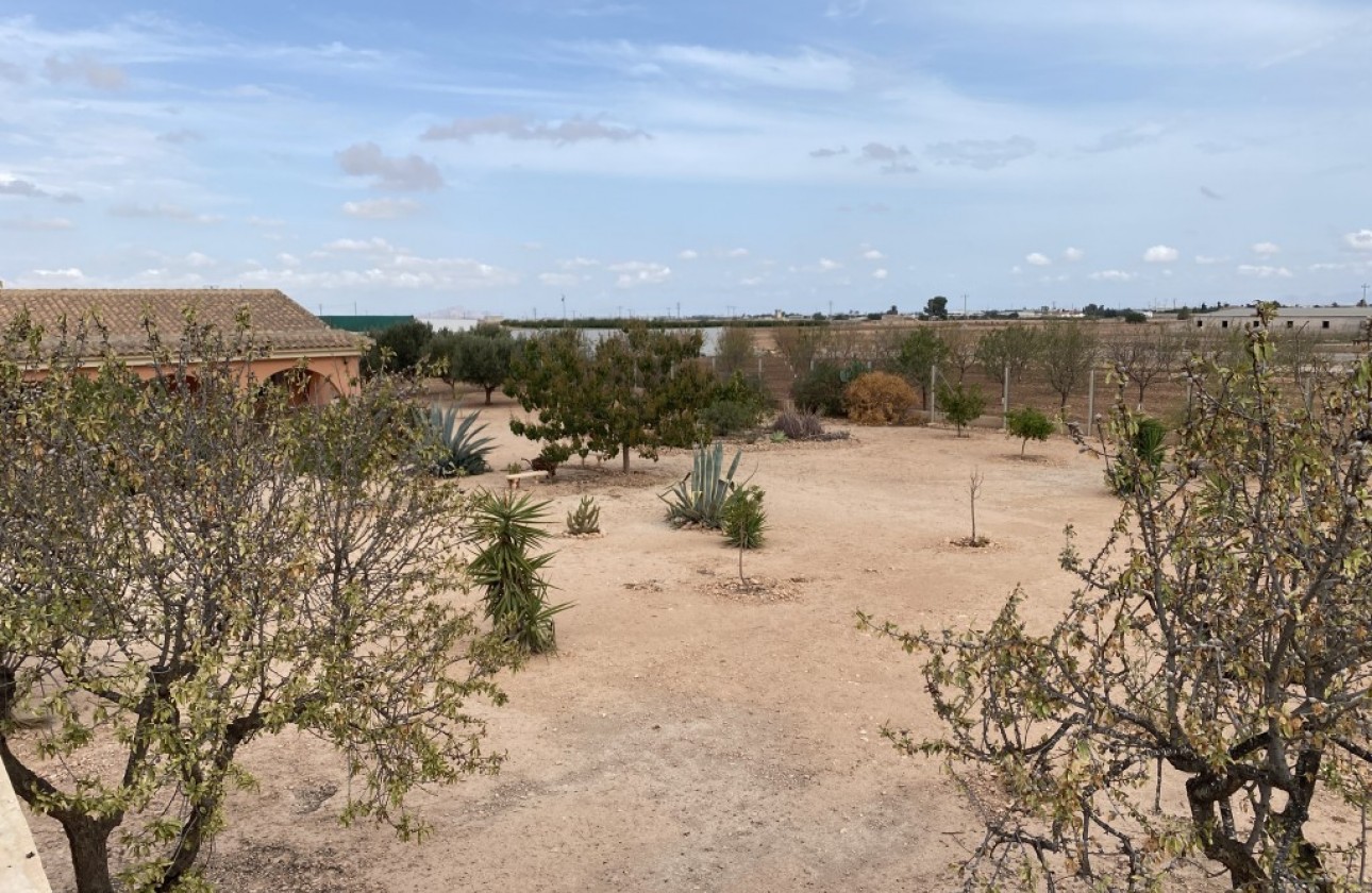 Reventa - Chalet - Fuente Álamo - Inland