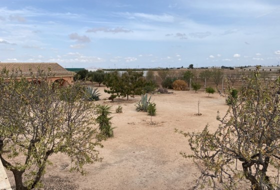 Reventa - Chalet - Fuente Álamo - Inland