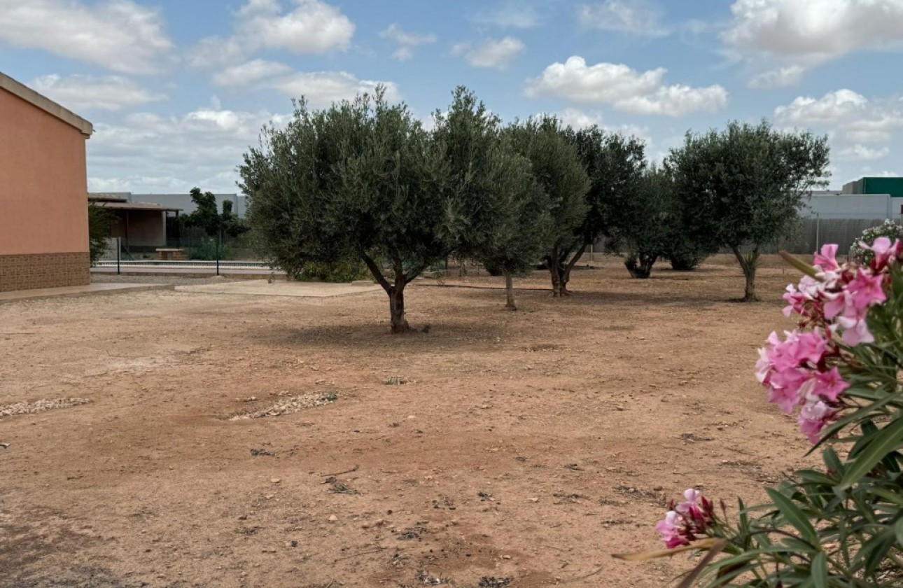 Reventa - Chalet - Fuente Álamo - Inland