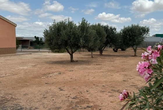 Reventa - Chalet - Fuente Álamo - Inland