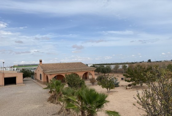 Reventa - Chalet - Fuente Álamo - Inland