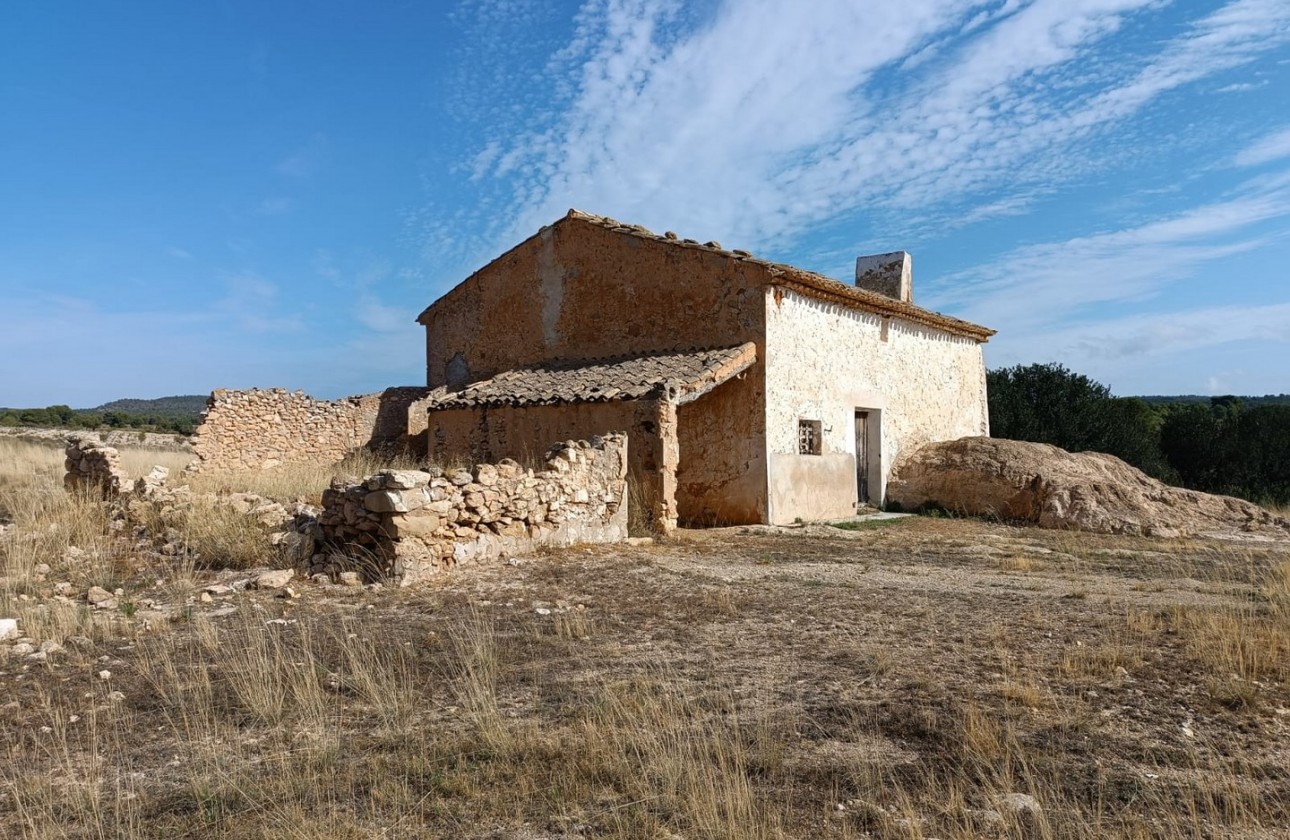 Reventa - Other - Yecla - Inland