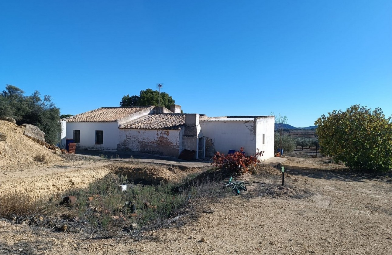 Revente - Property - Yecla - Inland