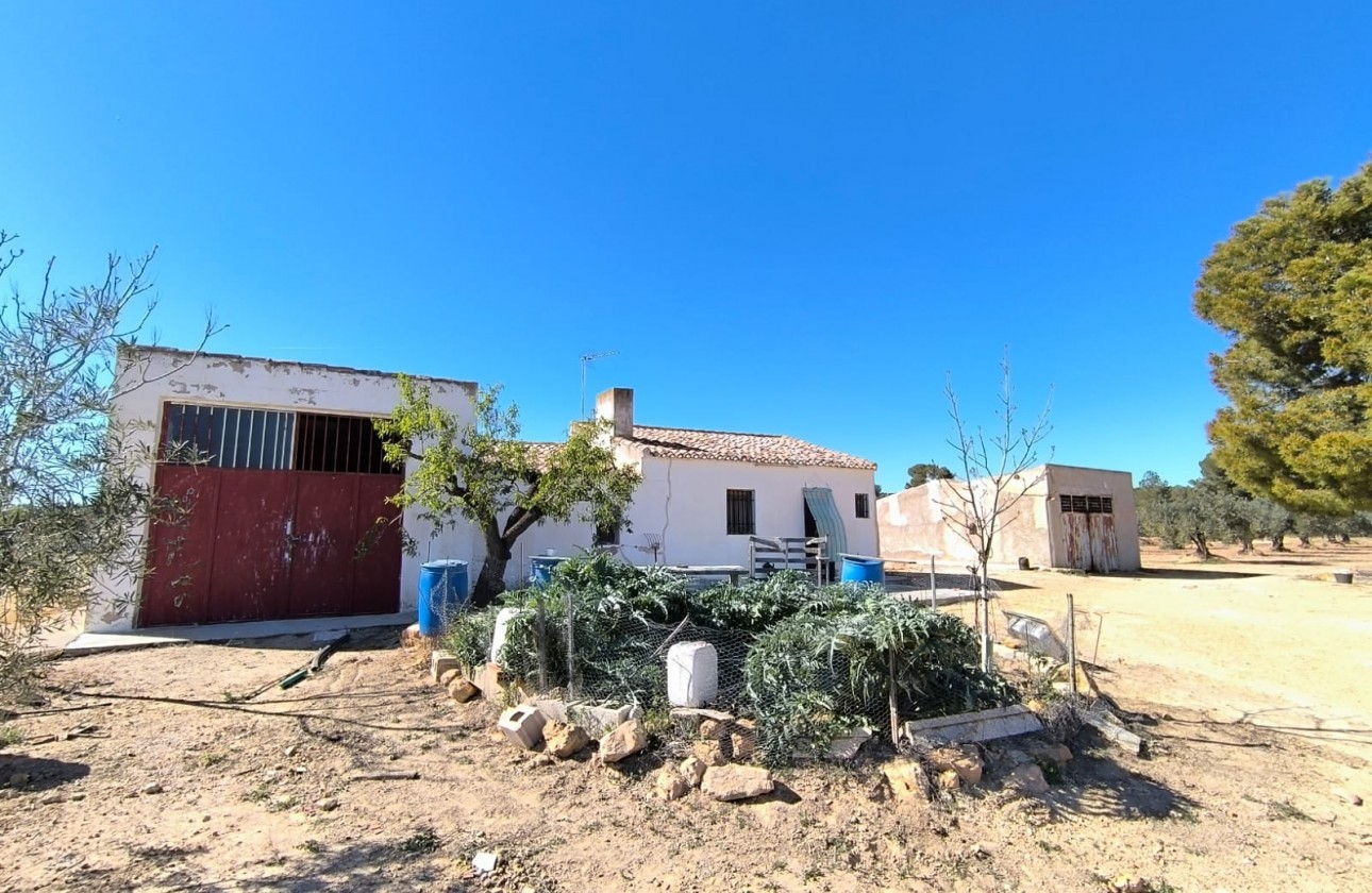 Revente - Property - Yecla - Inland