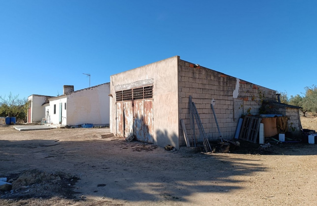 Revente - Property - Yecla - Inland