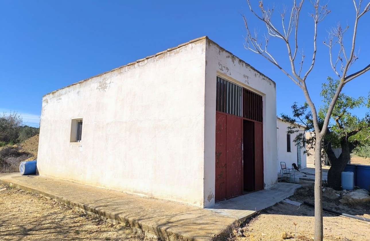 Revente - Property - Yecla - Inland