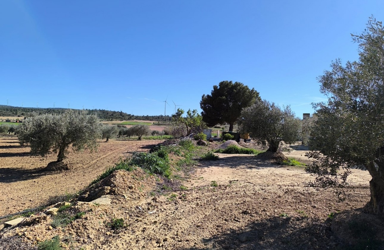 Revente - Property - Yecla - Inland