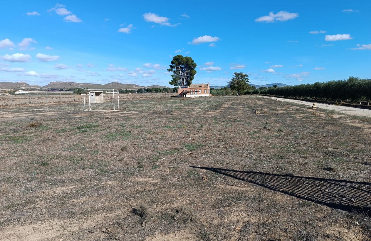 Revente - Villa - Yecla - Inland