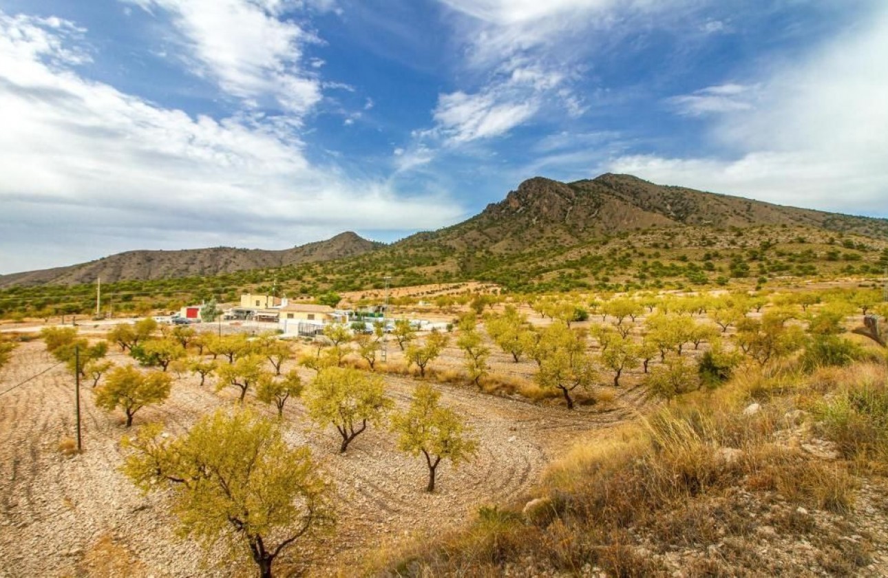 Revente - Villa - Jumilla - Inland
