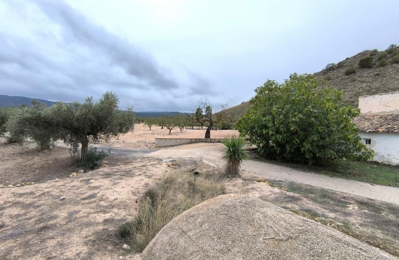 Reventa - Property - Villena - Inland