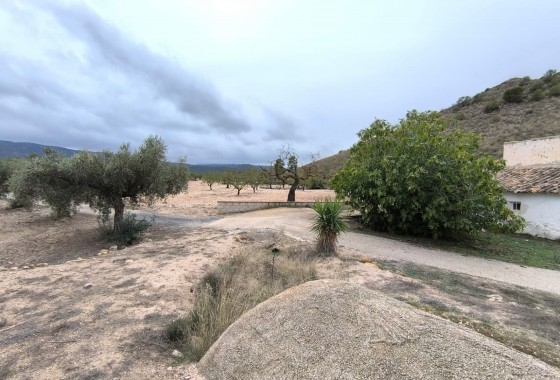 Revente - Property - Villena - Inland