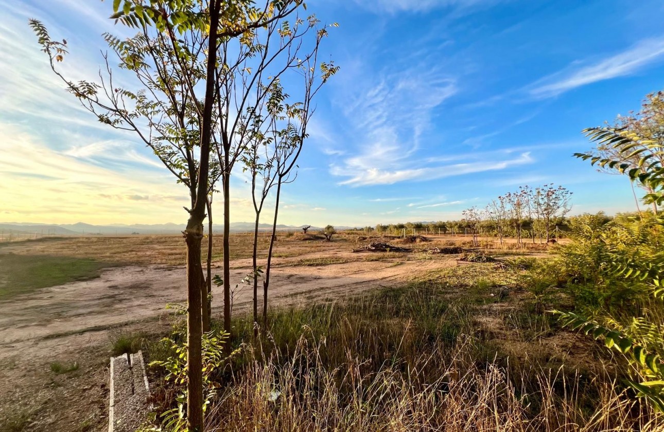 Revente - Property - Yecla - Inland